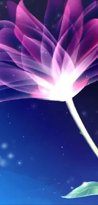 This phone live wallpaper showcases two magnificent purple flowers in stunning detail
