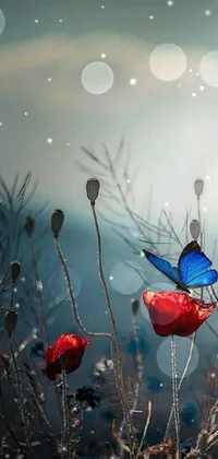 This mobile wallpaper features a stunning blue butterfly perched on a red flower amidst a nature setting