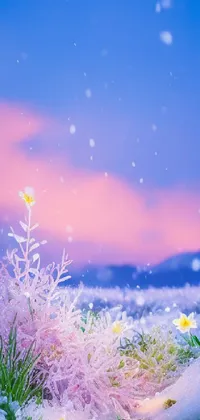 Transform your phone with a stunning live wallpaper featuring a serene winter landscape embedded with bright, colorful flowers