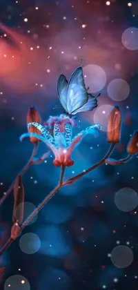 Plant Azure Insect Live Wallpaper