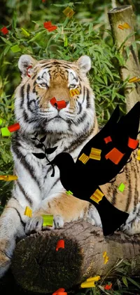 Plant Bengal Tiger Siberian Tiger Live Wallpaper