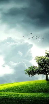 Enjoy a serene scene on your phone with this live wallpaper featuring two trees on a green field