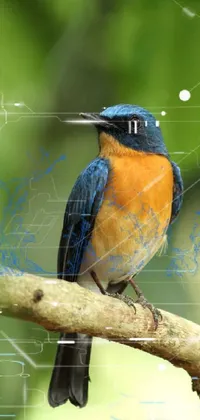 Plant Bird Electric Blue Live Wallpaper