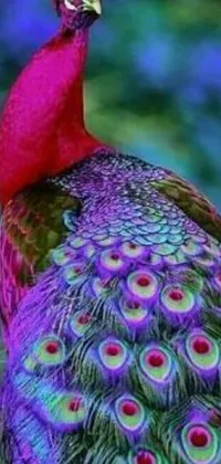 Plant Bird Purple Live Wallpaper
