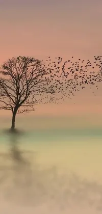 This phone live wallpaper displays a flock of birds in flight around a tree within a serene and calming landscape