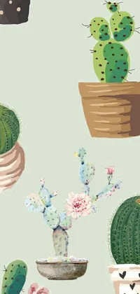 This phone live wallpaper features a digital art representation of a collection of cacti and succulents set against a green background