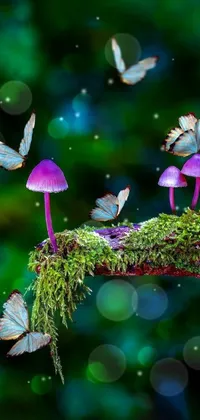 Experience the magic of nature with this phone live wallpaper featuring a group of purple mushrooms sitting on a moss covered branch
