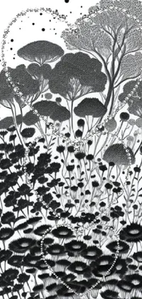 Plant Botany Organism Live Wallpaper