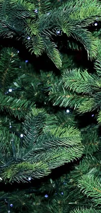 Looking for a beautiful Christmas phone wallpaper to brighten up your device for the festive season? Look no further than this high-quality live wallpaper featuring a close-up, digital-rendered image of a Christmas tree with lights