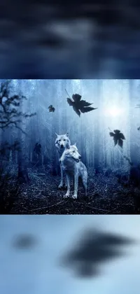This phone live wallpaper features two white wolves standing in a forest