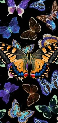 This mesmerizing phone live wallpaper showcases a seamless design with multiple colorful butterflies against a black backdrop