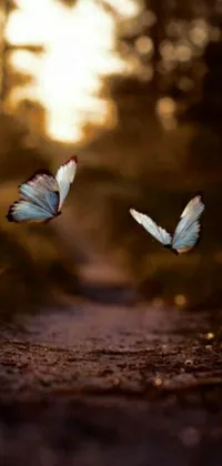 This live wallpaper showcases the stunning beauty of nature with two white butterflies flying over a peaceful dirt road