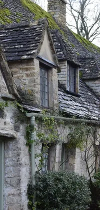 This phone live wallpaper features a renaissance-style streetscape with cozy mossy houses and stone roofs