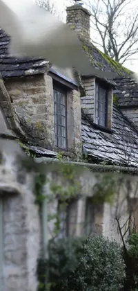 old mansion Live Wallpaper