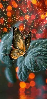 Plant Butterfly Pollinator Live Wallpaper