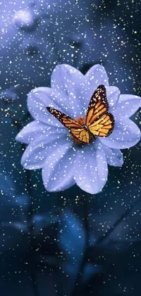 Plant Butterfly Pollinator Live Wallpaper