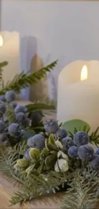 Plant Candle Wax Live Wallpaper