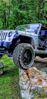 Experience the thrill of the outdoors with this stunning live wallpaper for your phone! Admire the panoramic shot of a rugged jeep parked on a rock overlooking a pristine, wooded landscape