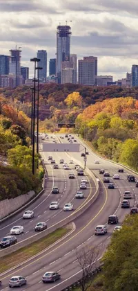 This live wallpaper features a vibrant, busy city highway surrounded by towering buildings set within the stunning fall foliage of Toronto
