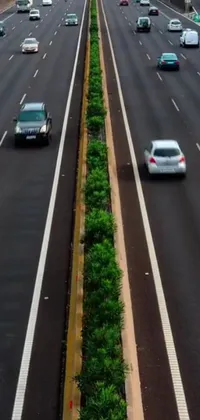 Plant Car Land Vehicle Live Wallpaper