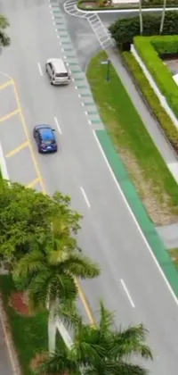 Looking for a stunning live wallpaper to spice up your phone's background? Look no further than this captivating shot of a blue car cruising down a palm tree-lined street in Singapore