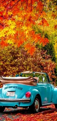 This live wallpaper features a blue vintage VW Beetle parked on the side of the road amidst maple trees with fall foliage, making it ideal for those who appreciate the beauty of nature and vintage cars