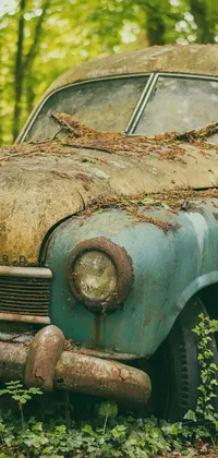 This live wallpaper depicts a striking image of an old car in a forest
