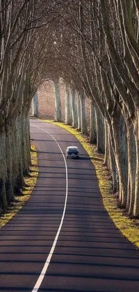 This live wallpaper captures the serene beauty of a car traveling on a tree-lined road in France