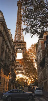 This phone live wallpaper depicts the iconic Eiffel Tower located in Paris, France