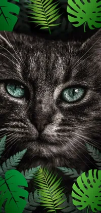 This live phone wallpaper is a striking portrait of a cat surrounded by lush green foliage