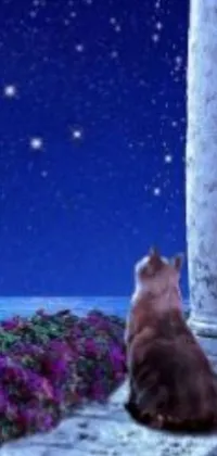 This phone live wallpaper features a stunning digital art of a mystical cat gazing at the stars while sitting on a ledge