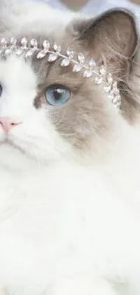 This phone live wallpaper features a majestic white cat with blue eyes wearing a wedding veil crowned with a pastel tumblr-style arabesque of white diamonds on a white background