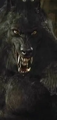 This live wallpaper showcases a menacing, black werewolf baring its teeth in front of a gothic building