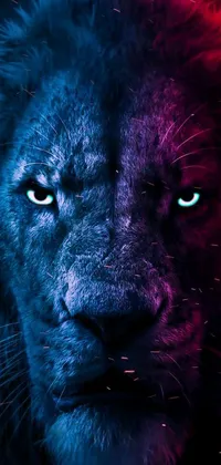 This striking live wallpaper features a close-up of a lion's face with piercing blue eyes against a background of neon purple and blue lightning bolts