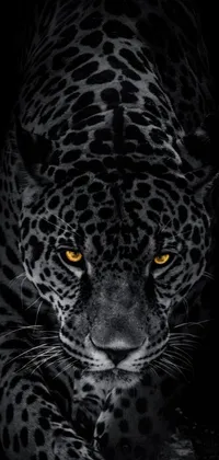 This live phone wallpaper features a striking image of a black and white leopard captured with vector art