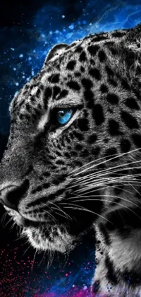Decorate your phone screen with this live wallpaper featuring a stunning image of a black and white leopard with captivating blue eyes set against a mesmerizing digital art background