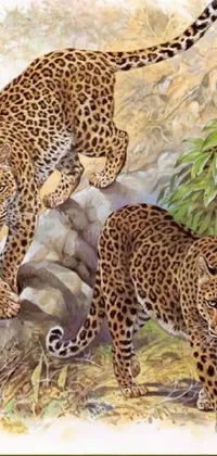 Plant Carnivore Felidae Live Wallpaper