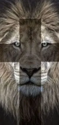 This phone live wallpaper features a beautiful image of a lion with a cross on its face, encapsulating strength and courage