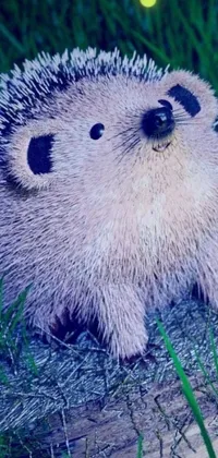This mobile live wallpaper displays a well-designed digital image of a hedgehog sitting on a green field