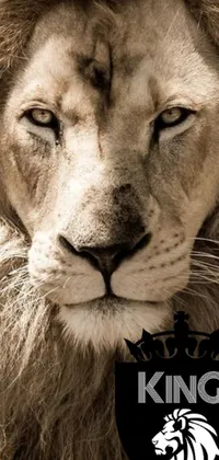 Looking for a stylish and sophisticated <a href="/">phone live wallpaper</a>? Check out this black and white photo of a majestic lion sporting a king&#39;s crown, available on Instagram