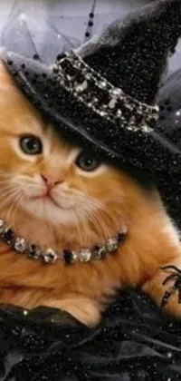 This phone live wallpaper features an adorable cat wearing a witches hat