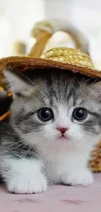 This phone live wallpaper features a gray and white kitten wearing a straw hat, creating a charming and cute design