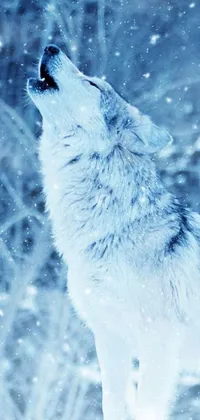 This stunning live phone wallpaper showcases a fierce wolf in a wintry landscape