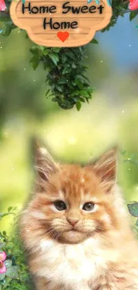 Plant Cat Nature Live Wallpaper