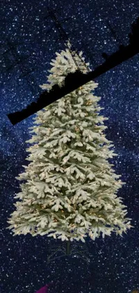 Plant Christmas Christmas Tree Live Wallpaper