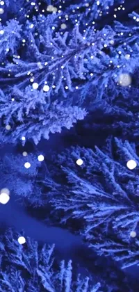 Plant Christmas Ornament Azure Live Wallpaper