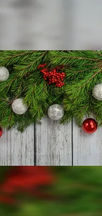 Plant Christmas Ornament Branch Live Wallpaper