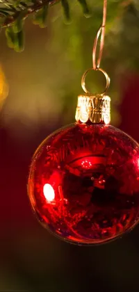 This live phone wallpaper showcases a vibrant close-up portrait shot of a red ornament hanging from a Christmas tree