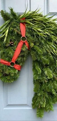 Plant Christmas Ornament Wreath Live Wallpaper