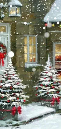 Plant Christmas Tree Christmas Ornament Live Wallpaper